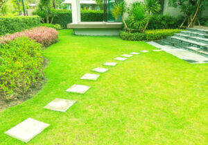 Backyard Renovation