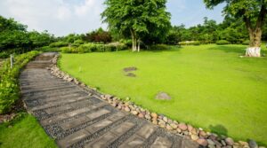 Landscape Design Process